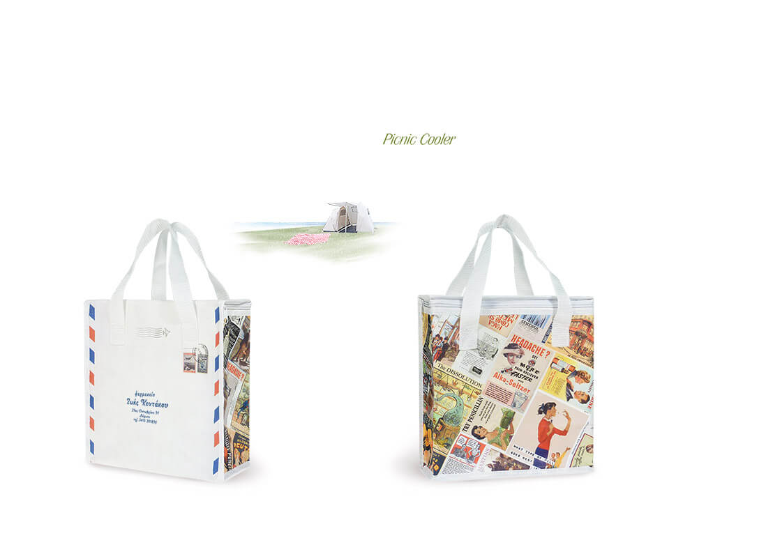PICNIC COOLER